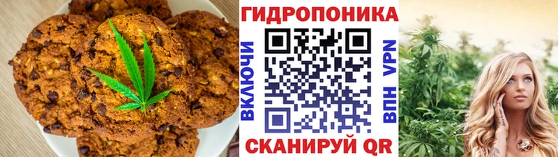 shop Telegram  закладки  мега   Туймазы  Печенье с ТГК марихуана 