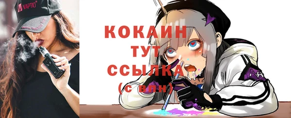 Альфа ПВП Бородино