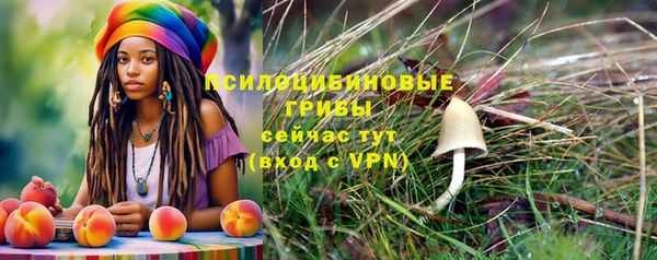 Альфа ПВП Бородино