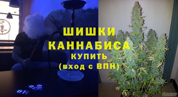 дмт Бронницы