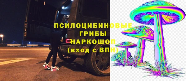 дмт Бронницы